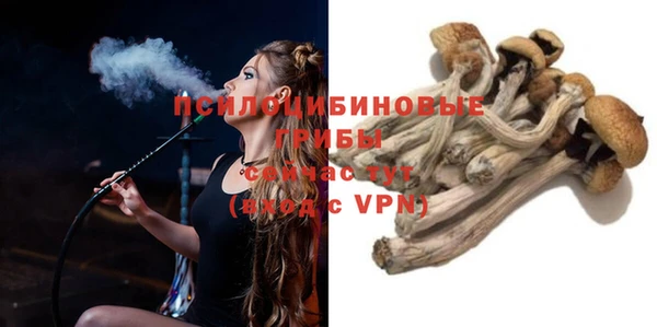 таблы Алзамай
