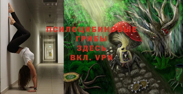 сатива Алексеевка