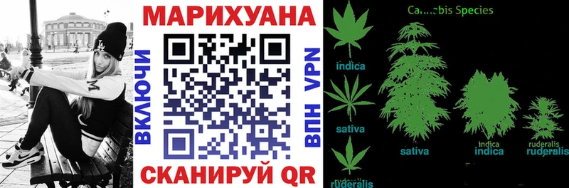 Марихуана OG Kush  наркошоп  Александров 
